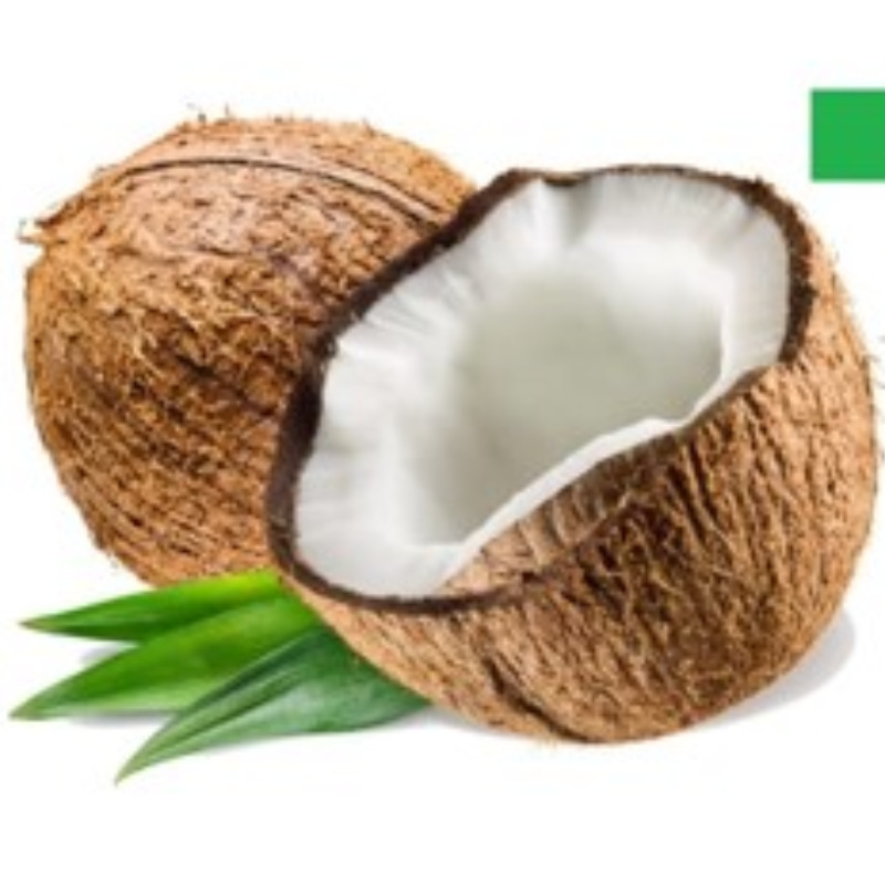 SMALL COCONUT (छोटा नारियल) Main Image